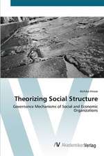 Theorizing Social Structure
