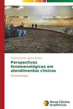 Perspectivas Fenomenologicas Em Atendimentos Clinicos: Modelagem E Simulacao