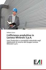 L'Efficienza Produttiva in Laviosa Minerals S.P.A.