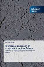 Multiscale Approach of Concrete Structure Failure: A Study in Regional Definition