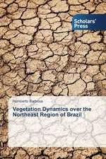 Vegetation Dynamics Over the Northeast Region of Brazil: Pedagogy, Professionalism and Vocationalism