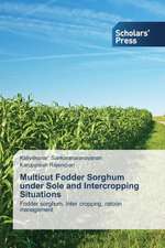 Multicut Fodder Sorghum Under Sole and Intercropping Situations: Kom and Bakweri Proverbs