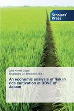 An Economic Analysis of Risk in Rice Cultivation in Ubvz of Assam: A Behavioural Study