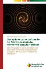 Geracao E Caracterizacao de Feixes Possuindo Momento Angular Orbital: O Intangivel Consumido