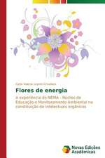 Flores de Energia: Uma Abordagem Geografica