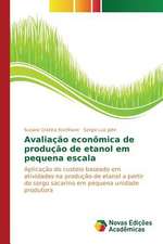 Avaliacao Economica de Producao de Etanol Em Pequena Escala: Um Enfoque Gerencial