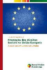 Promocao DOS Direitos Sociais Na Uniao Europeia: Expoentes Da Charge Goiana