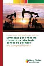 Simulacao Por Linhas de Corrente Da Injecao de Bancos de Polimero: Limites E Possibilidades Para Sua Interface