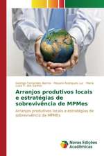 Arranjos Produtivos Locais E Estrategias de Sobrevivencia de Mpmes: Uma Conversa Necessaria Entre Saude, Ambiente E Educacao