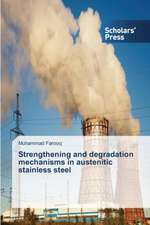 Strengthening and Degradation Mechanisms in Austenitic Stainless Steel