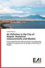 Air Pollution in the City of Naples: Analytical Measurements and Models