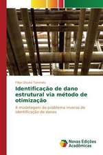 Identificacao de Dano Estrutural Via Metodo de Otimizacao: O Direito a Convivencia Familiar E Comunitaria