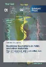 Nonlinear Excitations in Nims and Other Materials: Malaysian Legal Profession Perspective