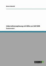 Unternehmensplanung mit Hilfe von SAP SEM