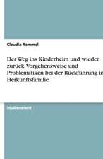 Der Weg ins Kinderheim und wieder zurück. Vorgehensweise und Problematiken bei der Rückführung in die Herkunftsfamilie