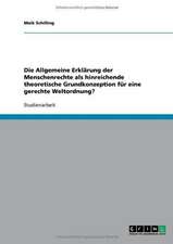 Die Allgemeine Erklärung der Menschenrechte als hinreichende theoretische Grundkonzeption für eine gerechte Weltordnung?