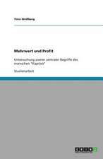 Mehrwert und Profit