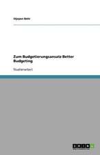 Zum Budgetierungsansatz Better Budgeting