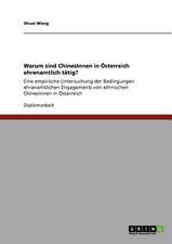 Warum sind ChinesInnen in Österreich ehrenamtlich tätig?