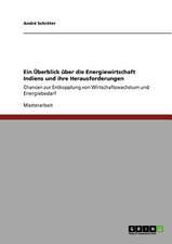 Ein Überblick über die Energiewirtschaft Indiens und ihre Herausforderungen