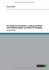 Zur Kritik am Sozialismus - Ludwig von Mises und Friedrich August von Hayek im Vergleich