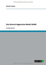 Das General Aggression Model (GAM)