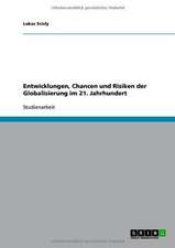 Entwicklungen, Chancen und Risiken der Globalisierung im 21. Jahrhundert