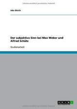 Der subjektive Sinn bei Max Weber und Alfred Schütz