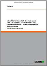 Interaktionen innerhalb des Stators der F1F0-ATP-Synthase von Escherichia coli: Quervernetzung der Cystein-substituierten Untereinheiten