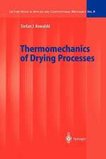 Thermomechanics of Drying Processes