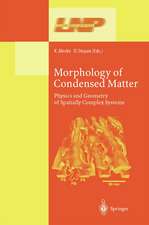 Morphology of Condensed Matter: Physics and Geometry of Spatially Complex Systems