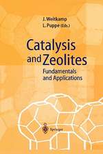 Catalysis and Zeolites: Fundamentals and Applications