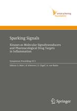 Sparking Signals: Kinases as Molecular Signaltransducers and Pharmacological Drug Targets in Inflammation