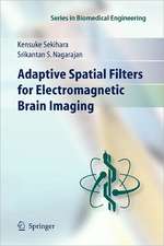 Adaptive Spatial Filters for Electromagnetic Brain Imaging