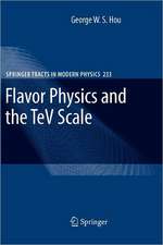 Flavor Physics and the TeV Scale