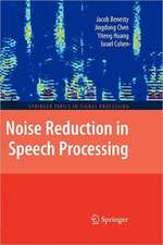 Noise Reduction in Speech Processing