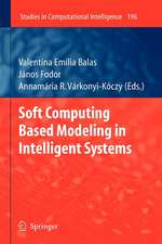 Soft Computing Based Modeling in Intelligent Systems