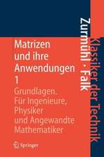 Matrizen und ihre Anwendungen 1: Grundlagen Für Ingenieure, Physiker und Angewandte Mathematiker