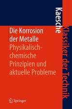 Die Korrosion der Metalle: Physikalisch-chemische Prinzipien und aktuelle Probleme