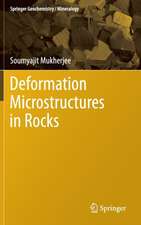 Deformation Microstructures in Rocks