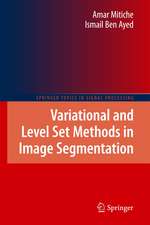 Variational and Level Set Methods in Image Segmentation