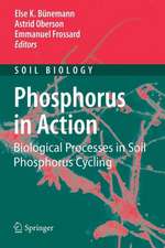 Phosphorus in Action: Biological Processes in Soil Phosphorus Cycling