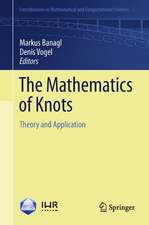 The Mathematics of Knots