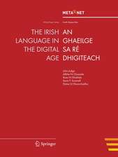 The Irish Language in the Digital Age