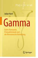 GAMMA: Eulers Konstante, Primzahlstrände und die Riemannsche Vermutung