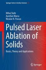 Pulsed Laser Ablation of Solids: Basics, Theory and Applications