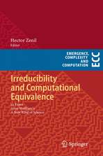 Irreducibility and Computational Equivalence: 10 Years After Wolfram's A New Kind of Science