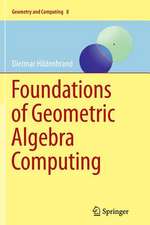 Foundations of Geometric Algebra Computing