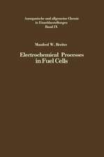 Electrochemical Processes in Fuel Cells