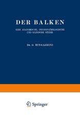 Der Balken: Eine Anatomische, Physiopathologische und Klinische Studie